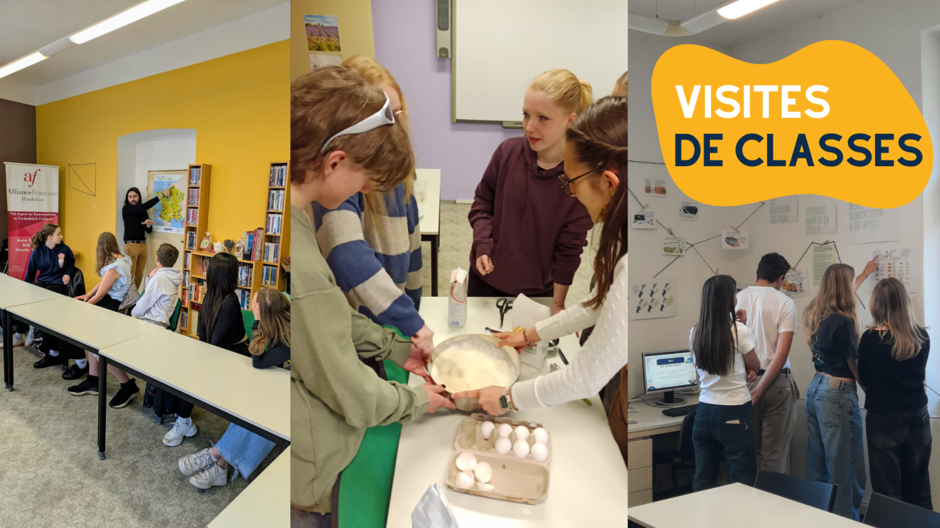 Visites de classes